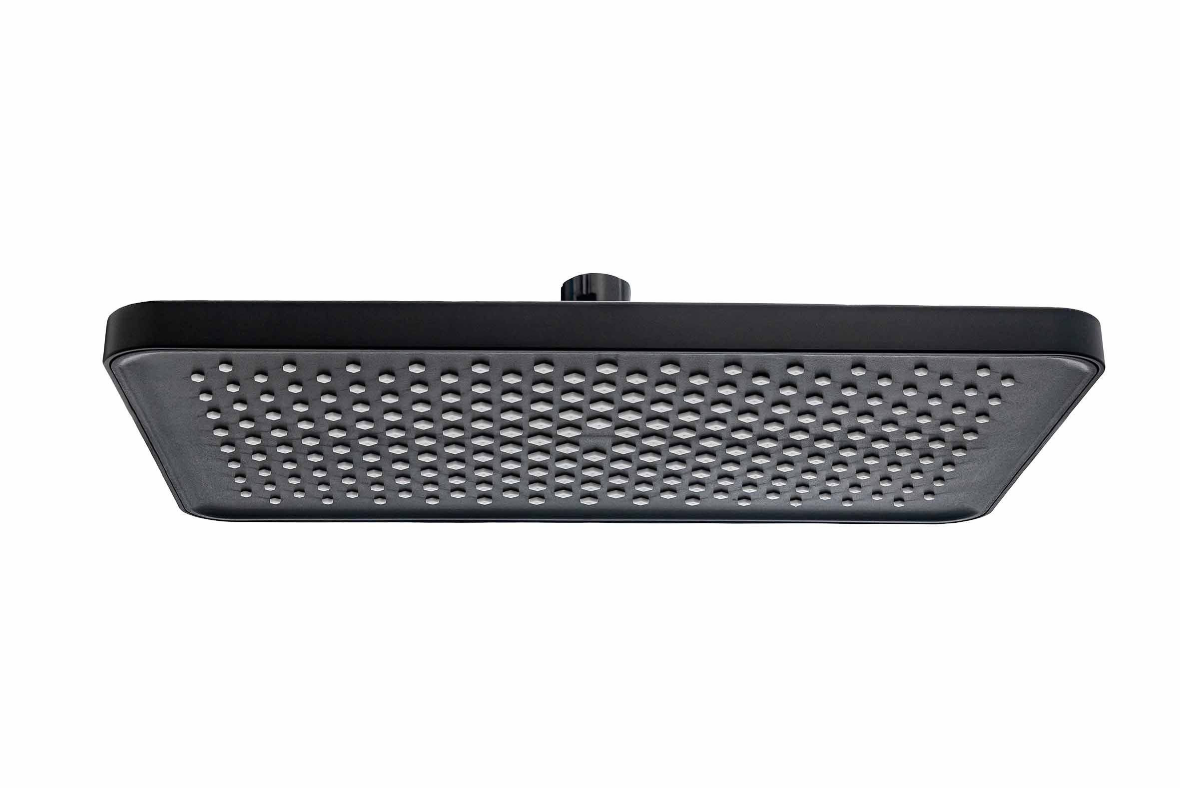 FREZYA SİYAH TEPE BAŞLIK